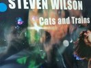 Steven Wilson ?– Cats And Trains (Blue Vinyl)