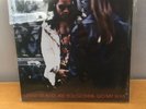 new sealed  2 lp Record Vinyl  LENNY KRAVITZ Believe ARE YOU GONNA GO MY WAY