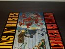 Guns n roses appetite for destruction vinyl