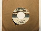 The Embraceables - Destiny / Come Back 45-4101-V Dover London (1962) PROMO