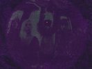 Smashing Pumpkins - Gish - 180 Gram Vinyl Album with Gatefold Cover NEW