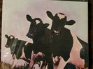 Pink Floyd - Atom Heart Mother -  Original Master Recording MFSL No. 3807  