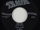 Tony Allen & The Wonders 