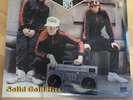 Beastie Boys - Solid Gold Hits [2LP] vinyl
