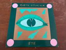 Robyn Hitchcock 1990 Eye solo acoustic LP vinyl Record lyrics Rare Original
