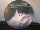 The Damned - Strawberries Picture Disc DOJO RECORDS DOJOPD46 LP VINYL