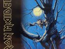 Iron Maiden - Fear Of The Dark - 2017 Double LP - Remastered on 180 Gram Vinyl