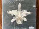 KIngs Of Leon Aha Shake Heartbreak 10
