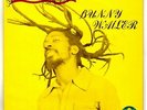 BUNNY WAILER-rock 'n' groove    solomonic LP   (hear)   reggae