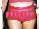 PEACHES • The Teaches Of Peaches • Gatefold Vinyl • RARE• Electroclash• Le Tigre