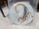 Scorpions - Picture Disc - Big City Nights - Bad Boys Running Wild - Rare Find