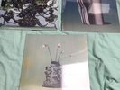 The Caretaker - Everywhere At The End Of Time Stages 1-3 Vinyl Set /500 Sealed