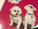 Slaves are you satisfied ? vinyl neuf punk LP