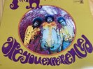 The Jimi Hendrix Experience “Are You Experienced” Vinyl LP Stereo