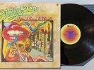 Steely Dan - Can't Buy A Thrill LP ABCX-758 Gatefold 70s Press VG+ Jazz Rock
