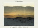 Wild Pink - A Billion Little Lights [New Vinyl LP]