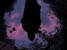 Slow Crush-Aurora (UK IMPORT) VINYL NEW