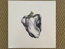 Ween White Pepper (White Vinyl -Plain Recordings 2009) VG++/NM condition