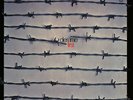 Dies Irae - First LP COLORED Vinyl Album - Import Prog Kraut Psych Record GREAT
