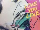 the rolling stones vinyl Love You Live