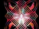 Chris Forsyth - Paranoid Cat [New Vinyl LP]