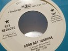 Roy Redmond Good Day Sunshine Vintage Record 45 7