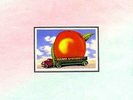 The Allman Brothers Band ?* Eat A Peach [Vinyl Record LP 1984]