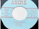 SNEEZZ Lovin’ Looks ANDRE’ private label shag / southern rock OBSCURE  45 Hear