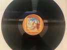 Jane Crowns BRAIN Promo LP 1977 withdrawn RARE Krautrock Peter Panka no CD