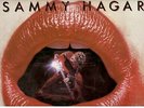 Sammy Hagar            5-LP's     and     1-12