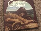 Grateful Dead - Wake of the Flood vinyl LP album record United GD-01