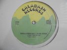 TINGA STEWART I Feel The Music CALABASH 80's Roots Killer  Reggae 12