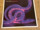 Shades Of Rhythm The Sound Of Eden (every Time I See Her) 12” Vinyl
