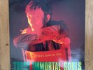 These Immortal Souls Never Gonna Die Again