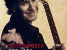 Rock - Steve Winwood ?– Nine Lives, 2008 - EU 1st Pressing Cover & Vinyl NM/NM