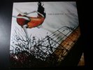 CIRCA SURVIVE JUTURNA LP RECORD DELUXE 10 YEAR EDITION ORANGE WHITE COLOR VINYL