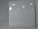 The Beatles WHITE ALBUM Anniversary Edition VINYL 2 LP
