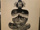 flower travellin band satori Lp Gatefold Phoenix Records