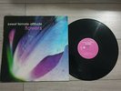 Sweet Female Attitude ?– Flowers (sunship) 12