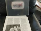 The Velvet Underground Vinyl LP 