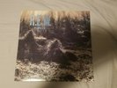 Vinyl REM Murmur