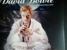 David Bowie: LIVEANDWELL.COM (2x Vinyl LP Set) Brilliant Live Adventures Part 3?