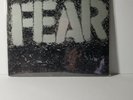 Fear - The Record, G+/VG-, SR-111, vinyl / record