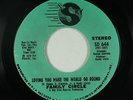 Sweet Soul 45 - Family Circle - Loving You Make The World Go - Sky Disc VG++ mp3