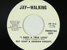 Northern Funk/Sweet Soul 45 - Ray Gant - I Need A True Love - Jay-Walking - VG+