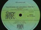 Delegation 'The Promise Of Love/Soul Trippin' / Oh Honey'-12