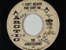 Northern Soul 45 - Ambassadors - I Can't Believe You Love Me - Arctic - mp3