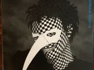 Torpedo Moskau - Malenkaja Rabota LP limitiert Turbostaat Slime Napalm Screamer 