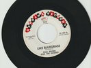 PAUL REVERE AND THE RAIDERS - LIKE BLUEGRASS b/w LEATHERNECK - RARE 45 RPM