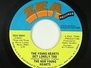 Sweet Soul 45 - New Young Hearts - The Young Hearts Get Lonely Too - Zea - VG++